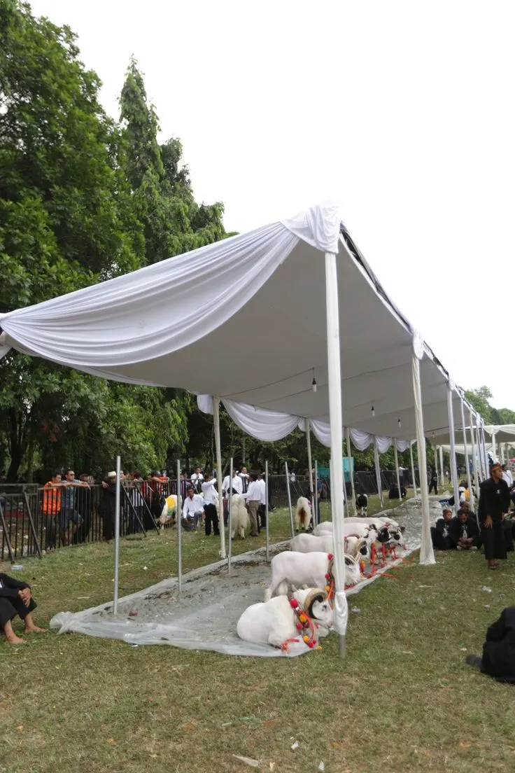 Jasa Tenda Surabaya